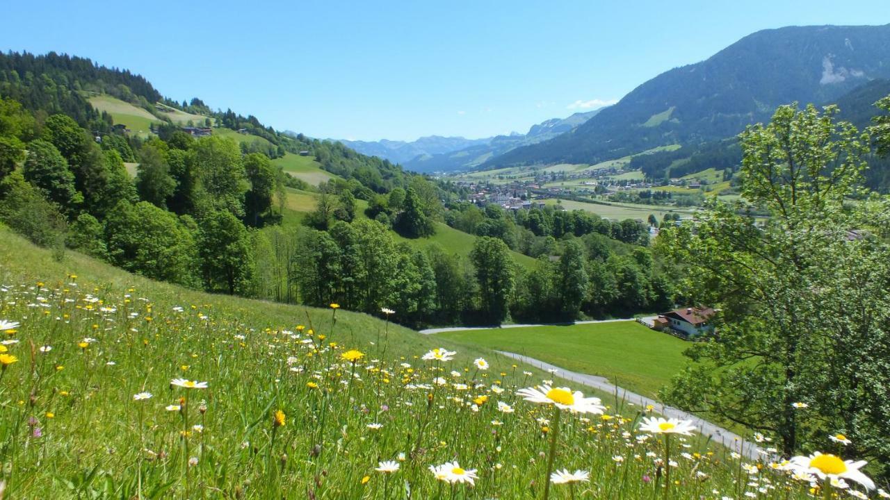 Franbichl Daire Brixen im Thale Dış mekan fotoğraf