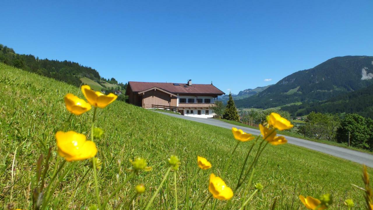 Franbichl Daire Brixen im Thale Dış mekan fotoğraf